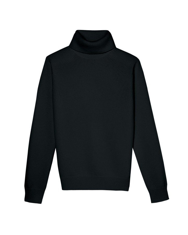 Pull col roulé Noir en cachemire Homme